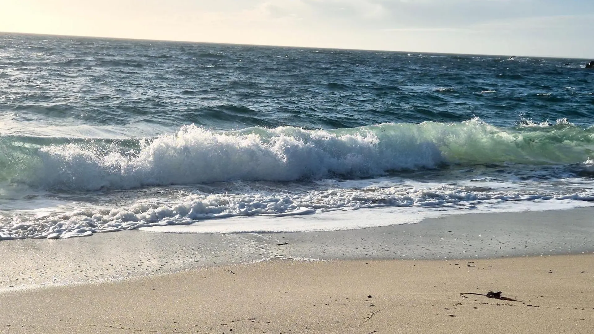 펜션 Gite L ' Escale 300 M A Pied Des Plages Plouarzel